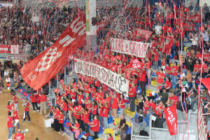 Tifosi Lube