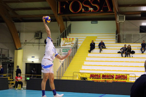 Cisolla al servizio