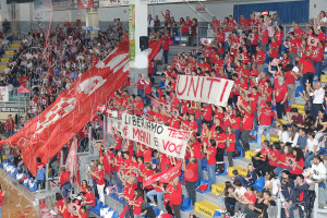 Tifosi Lube