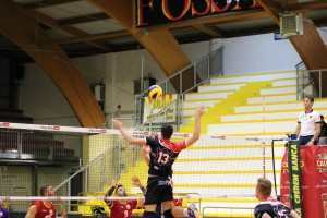 Azione Lupi Santa Croce
