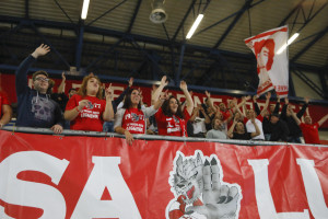 Tifosi Lupi