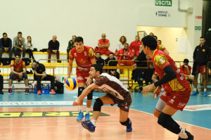 Marra in ricezione