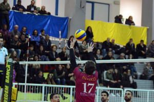Paolucci