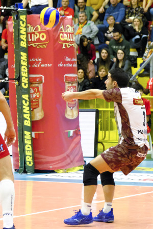 Marra in ricezione