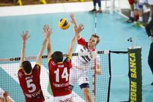 Snippe in attacco