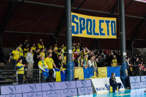 curva ultras