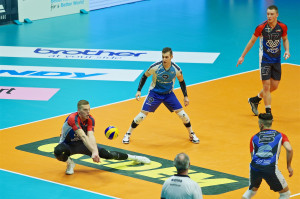 Dzavoronok ricezione