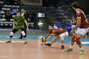Bruno in ricezione