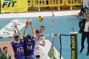 Snippe in attacco