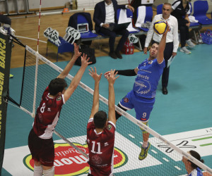 Galaverna in attacco
