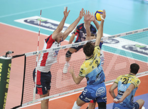 Kurek a muro
