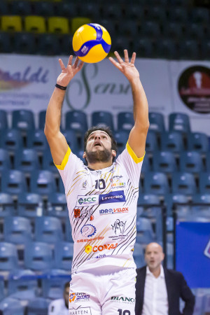 Palleggiatore Levereno: Leone