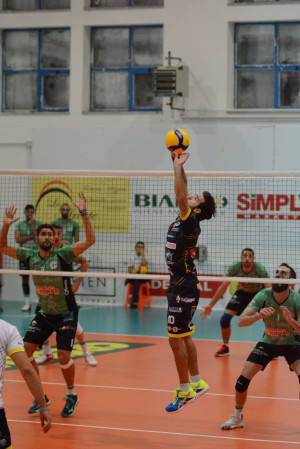 Leone in palleggio