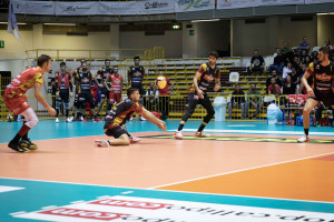 Torey Defalco