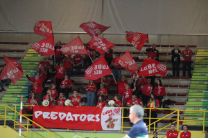 Tifoseria Lube