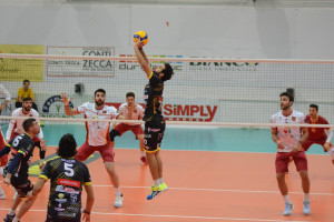 Leone in palleggio
