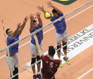 Muro Goldenplast Civitanova