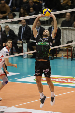 Travica