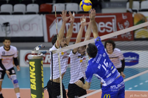 Cisolla in attacco