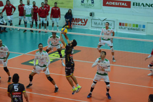Palleggio Leone