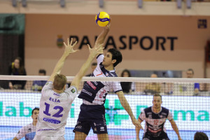 attacco dragan stankovic