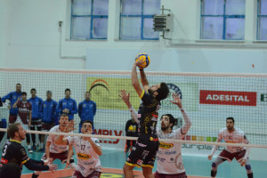 Leone in palleggio