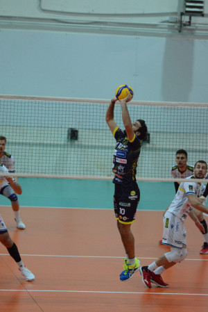 Palleggio Leone