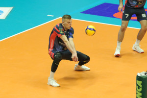 Dzavoronok ricezione
