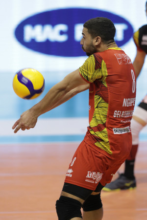 Ngapeth Swan