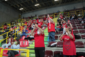 Tifosi Lube