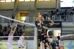 shoji padova