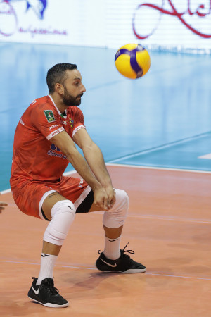Cavaccini