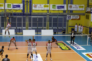 Gamma Chimica Brughiero schierata in campo