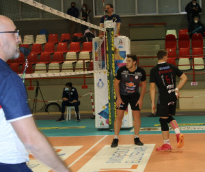 Pranovi  e Zivojinovic 