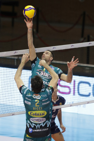 Travica