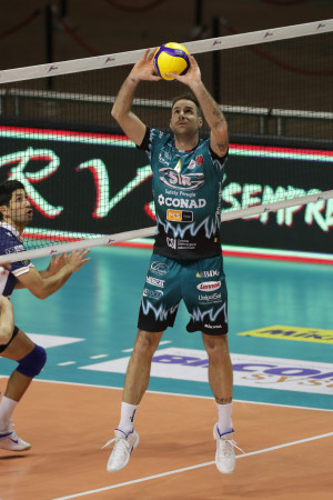 Travica