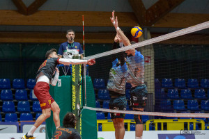 Mandolini in attacco