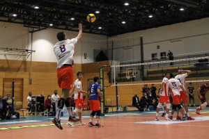 Servizio Grassi AVS Bolzano