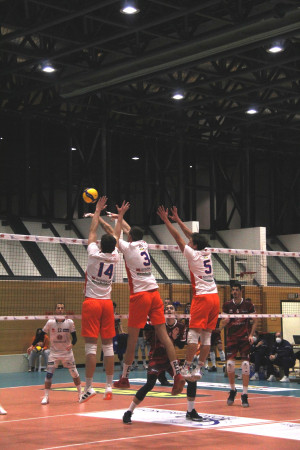 Muro Avs Mosca Bruno Bolzano
