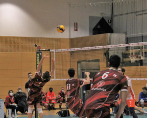 Pizzini UniTrento