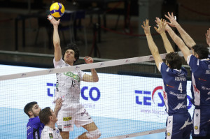 Bottolo