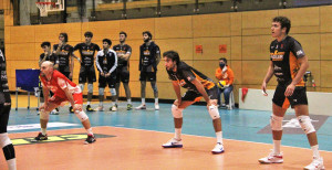 Vigilar Fano