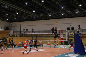 Lucconi Vigilar Fano