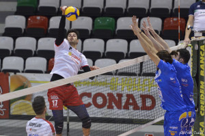 Suraci in attacco