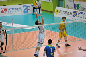 Alberini in palleggio