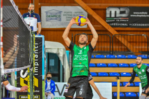 Parisi Palmi