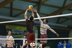 Contesa Morelli