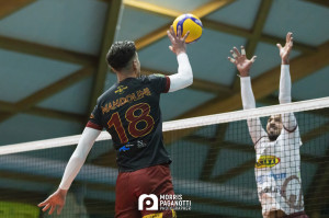 Mandolini in attacco