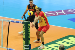 Torey Defalco