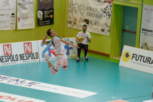 Gamba al servizio